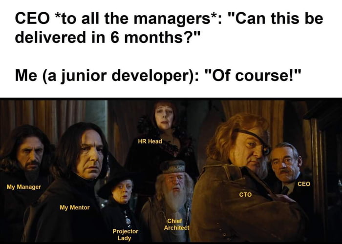 Definition of Projector manager A person who thinks that 9 women can