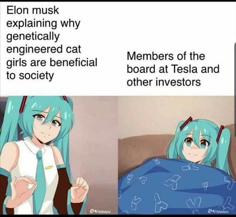 Genetically Engineered Catgirls - 9GAG