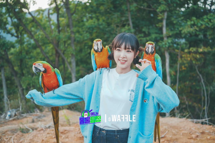 Photo : 211020 StudioWaffle Instagram Update With Choi Yena