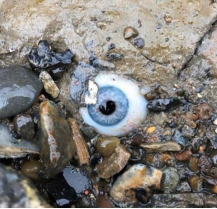 Glass eye found on beach 9GAG