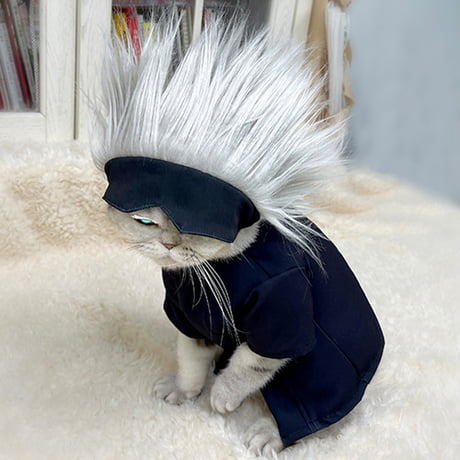 Cat Cosplay of the Feline variety. on Tumblr