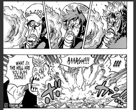 Best 30 Zoro Fun On 9gag