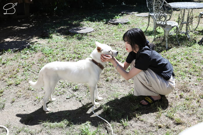 Photo : Puppy Yuju & puppy dog!
