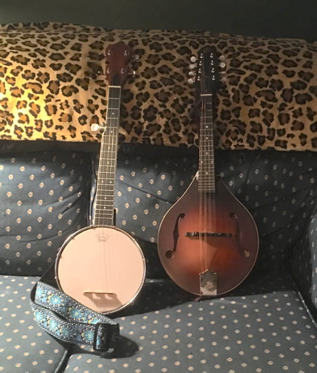 Best Funny mandolin Memes - 9GAG