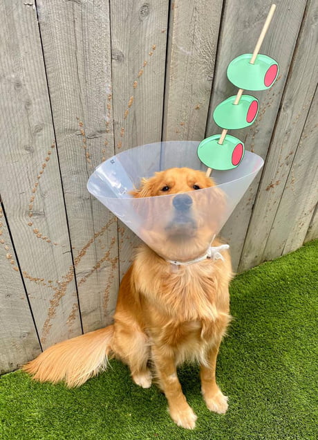 Martini cone of outlet shame