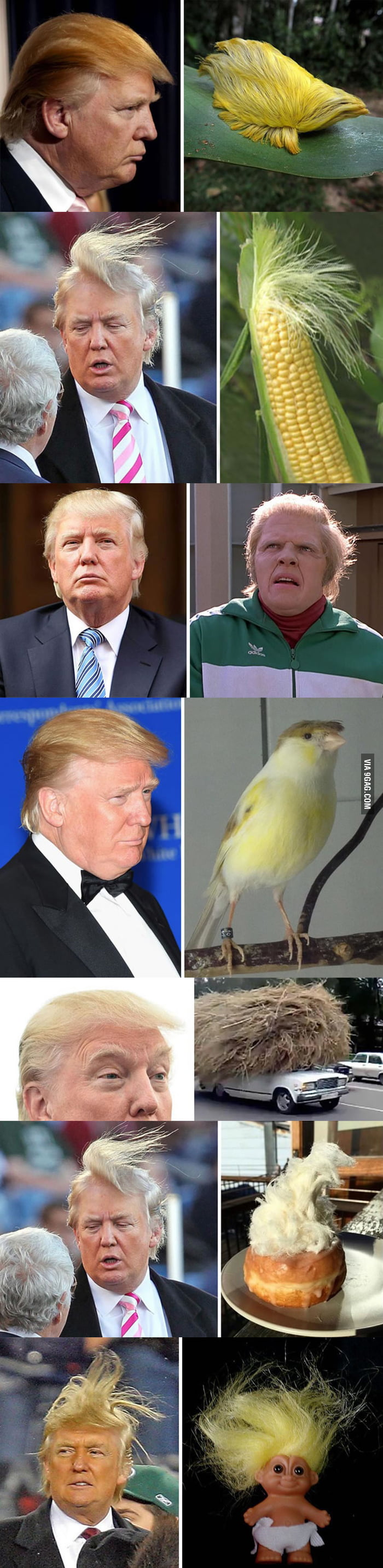 https://img-9gag-fun.9cache.com/photo/ajn5jPw_700b_v1.jpg