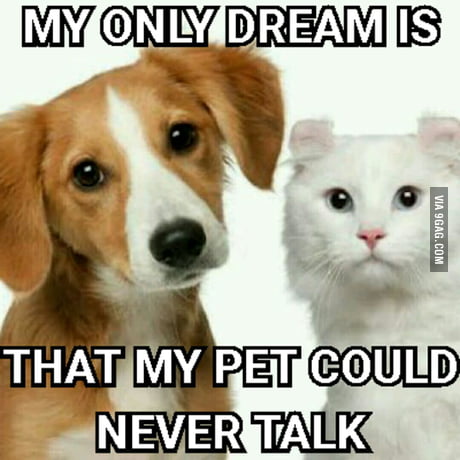 Ohh Its Fine That Dog Will Never Say What I Am Doing 9gag