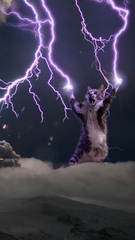 Lightning god cat wallpaper (requested higher resolution) - 9GAG