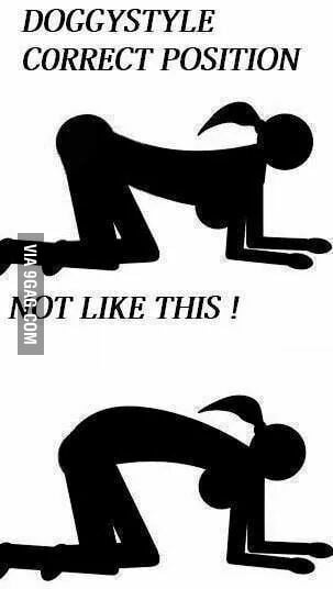 hair pull doggystyle