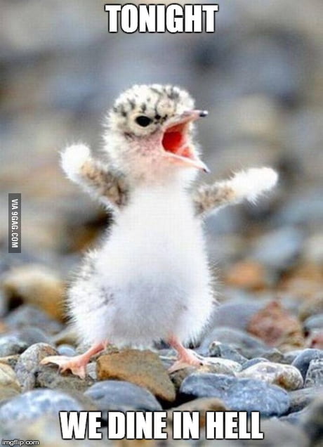 This is Sparta! - 9GAG