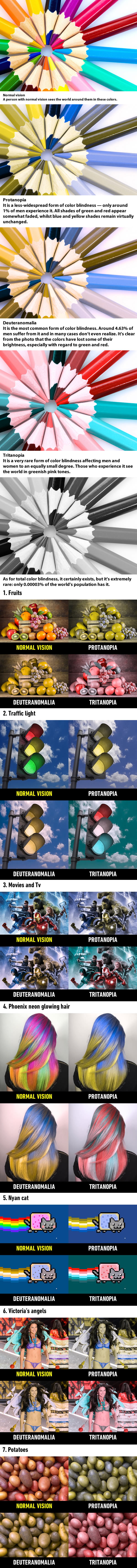 How People With Different Types of Colour Blindness See the World