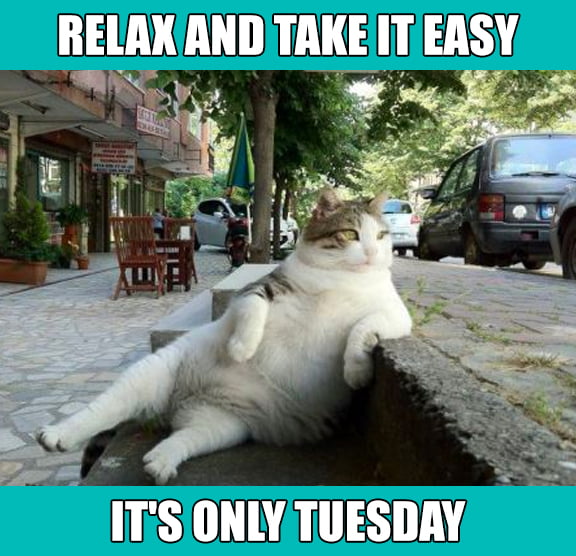 Relax and take it easy! It's only Tuesday #ReCactus - 9GAG