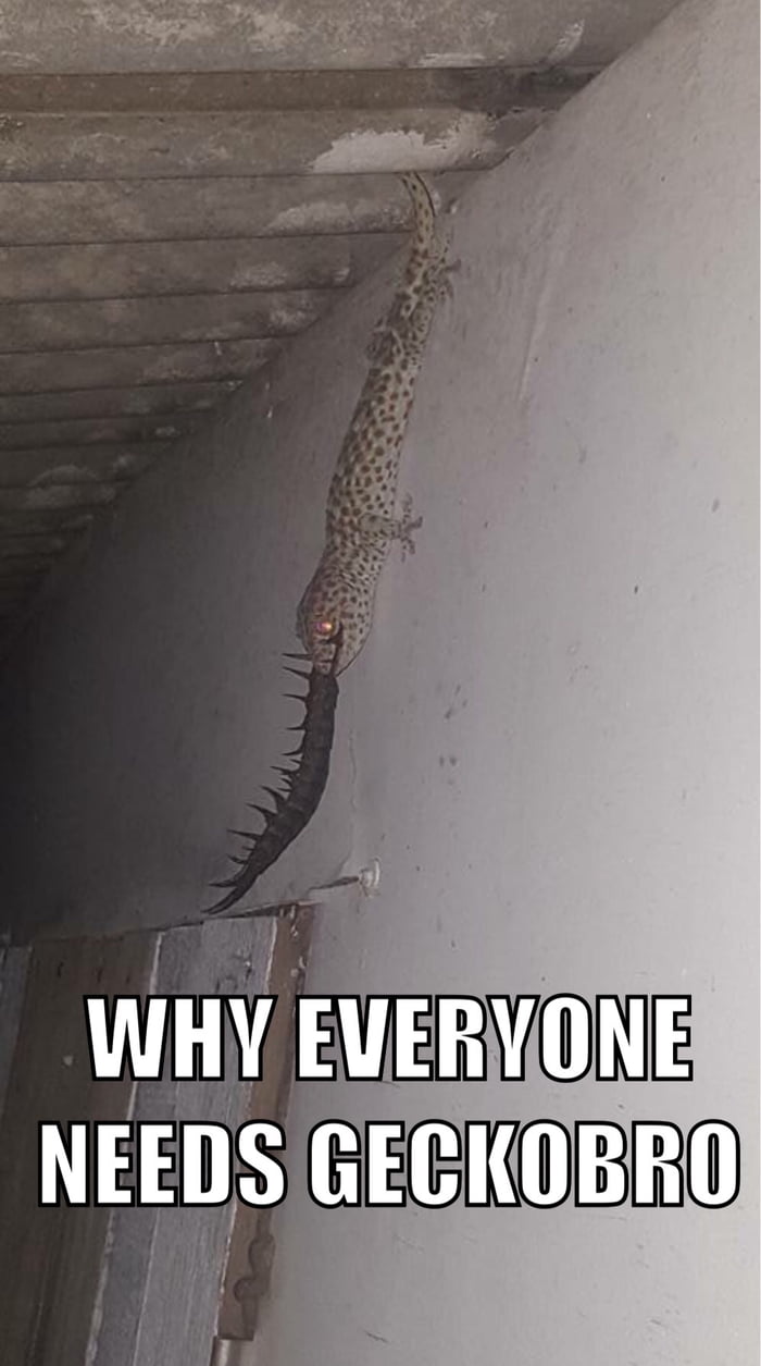 Thats why