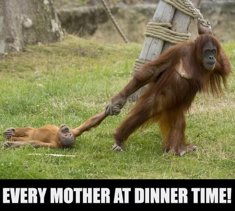 Dinner time - 9GAG