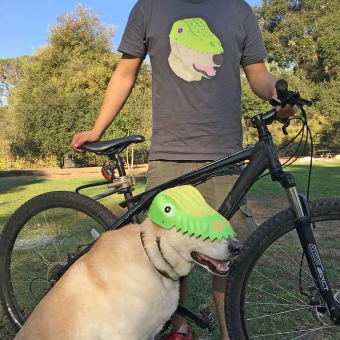 Doggodile, nuff said