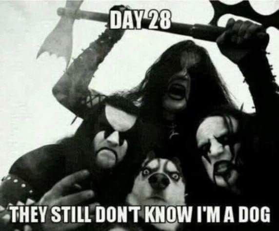 Brutal woof