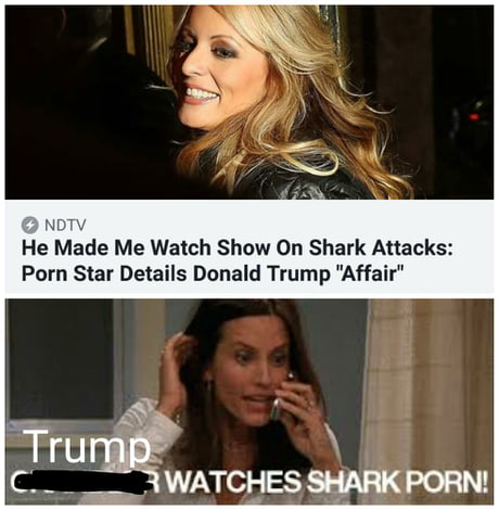 460px x 470px - Shark Porn - 9GAG