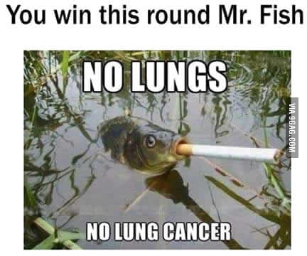 how many grams of tobacco in 1 cigarette Menthol and TSNA Concentrations in the Tobacco of SPECTRUM Cigarettes