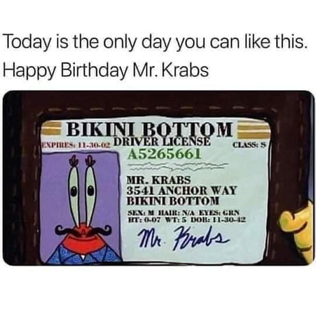 Ah yes the Krusty Krab bossman