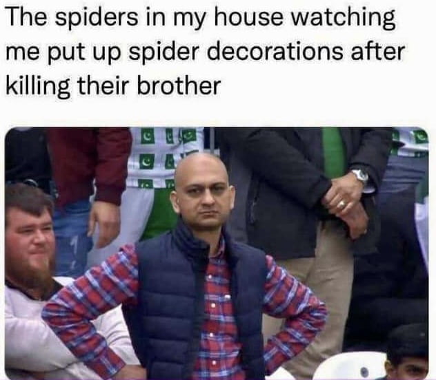 Gotta pay respects for that spider