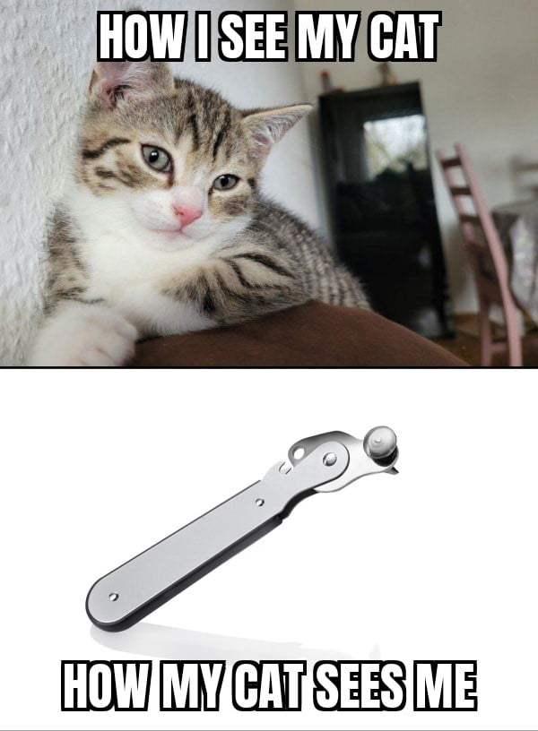 Just kidding, i can open doors too 9GAG