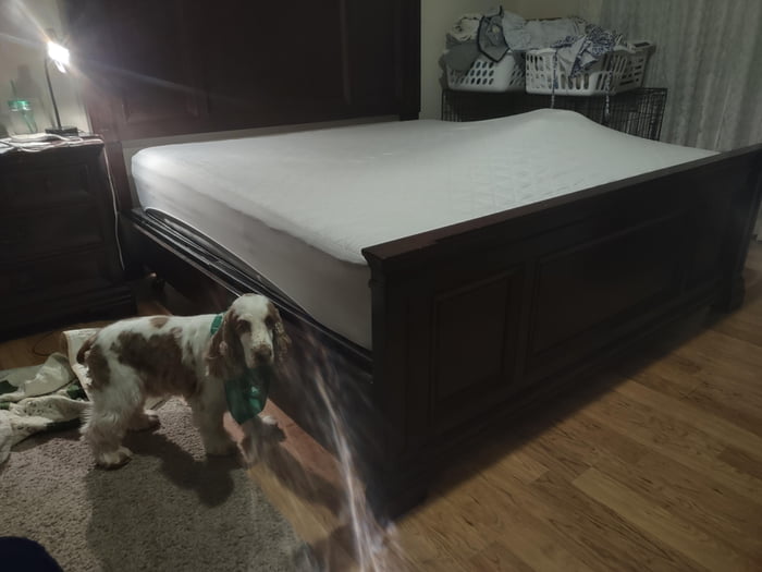 SOMEONE is being difficult about putting sheets on the bed. 9GAG