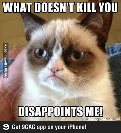 Angry cat of judgment. - 9GAG