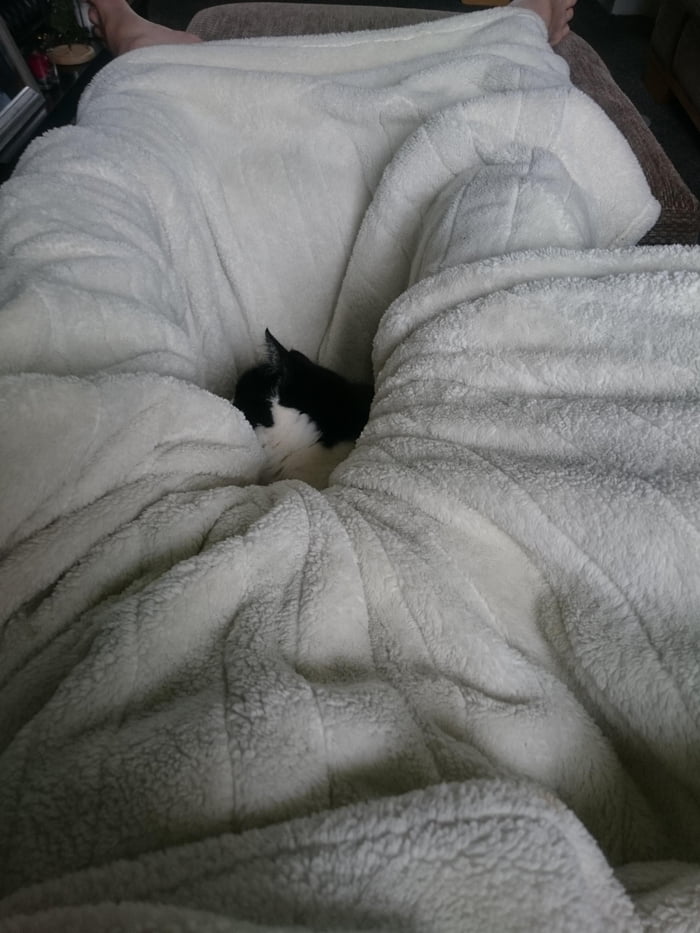 Do yah think he's comfy...