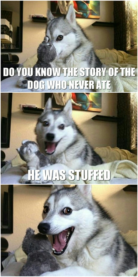 pun dog