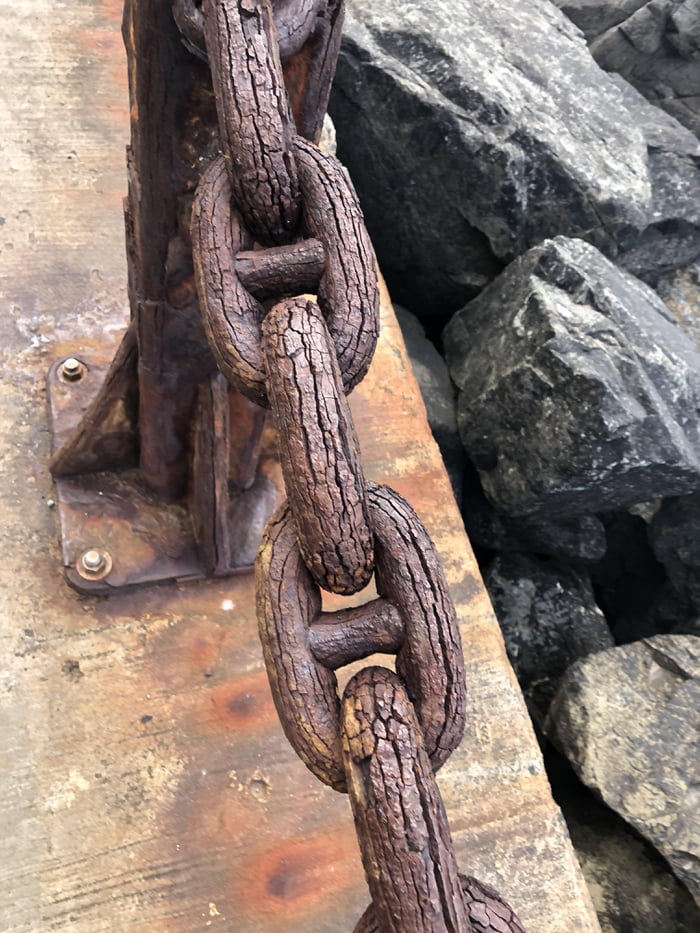 This chain is so old and rusted it looks like wood