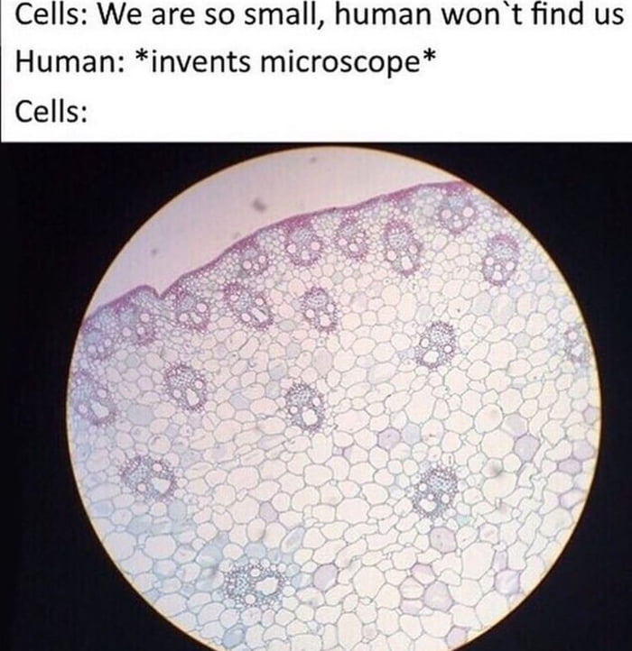 :O Is this meme dead?