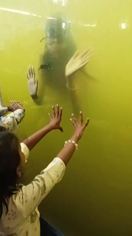 India’s Aquarium mermaid…Uh.. I am speechless