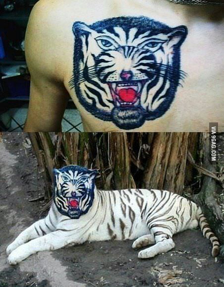 Amazing pics reveal some of the worst and funniest tattoos that people  thought were a great idea at the time  The Sun