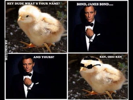 Bond! - 9GAG