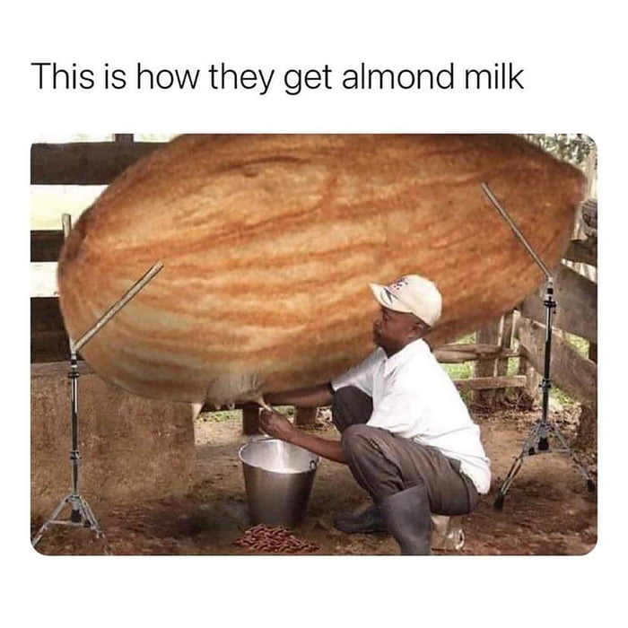 Almond Milk 9GAG