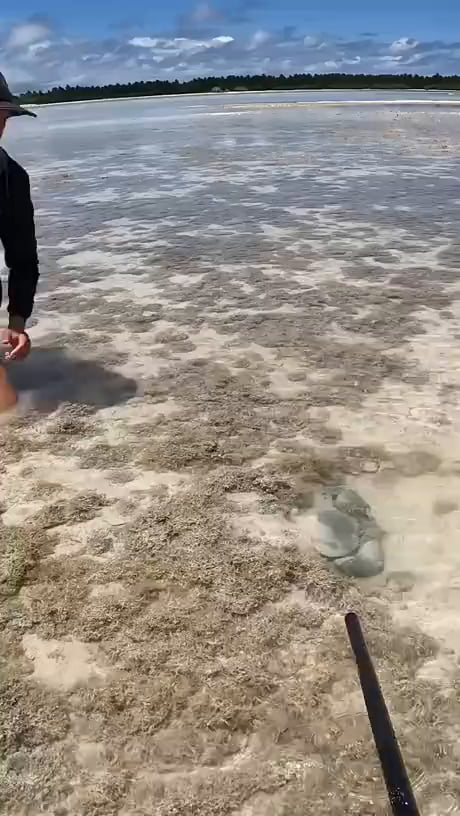 Watch your finger mate