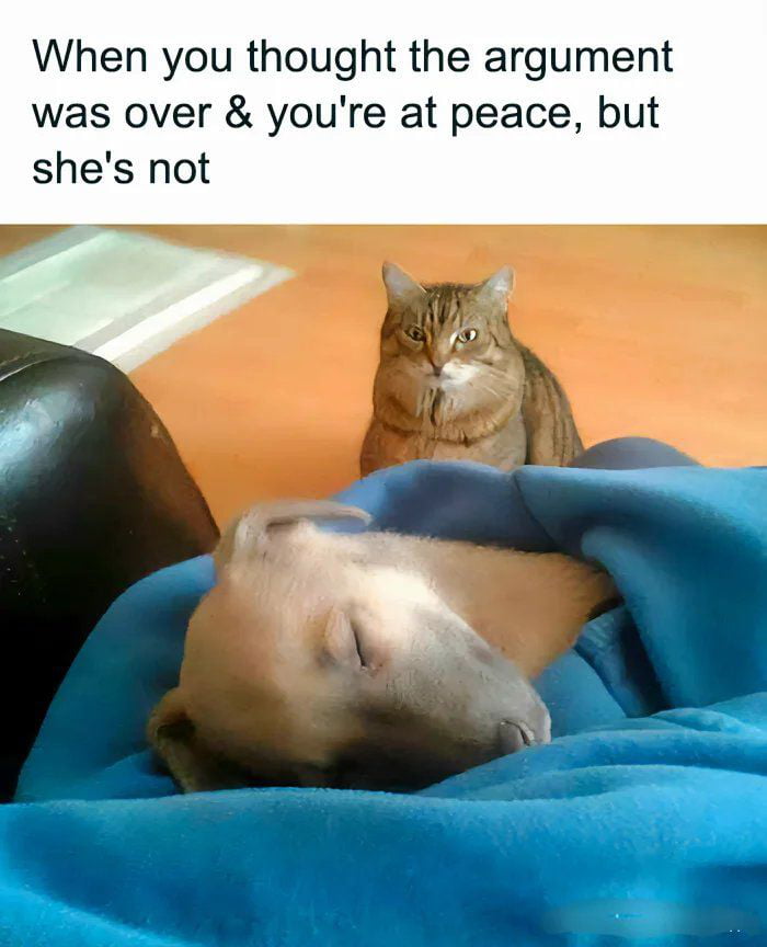 Peace was never an option