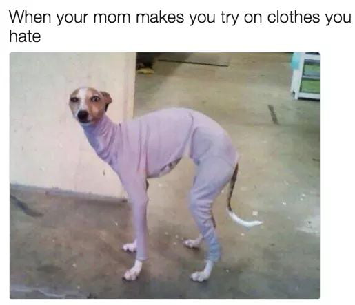 It looks very nice on you