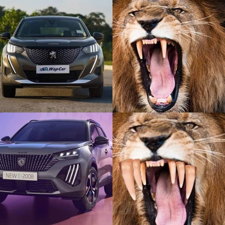 Best Funny peugeot Memes 9GAG