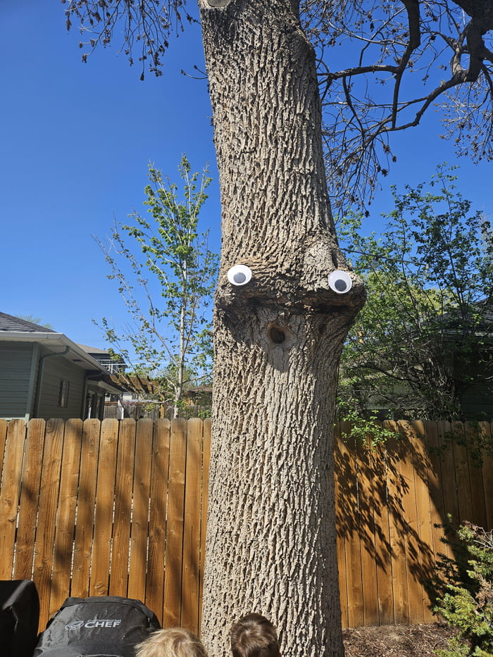 Googly Eye Tree! 9GAG
