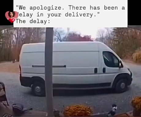 My new coworker is a cat