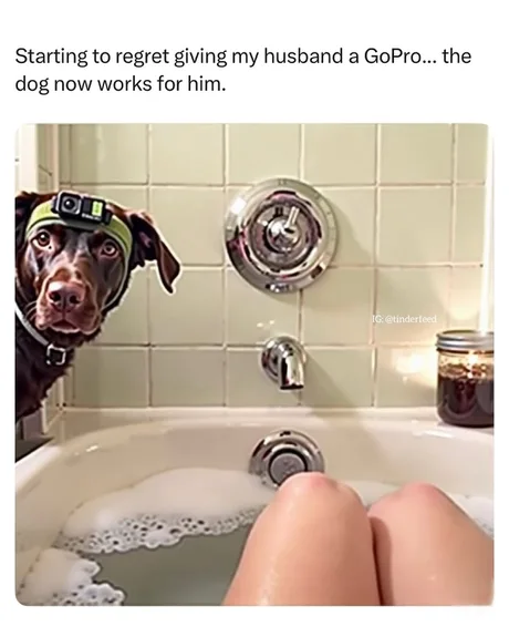 Good boy!