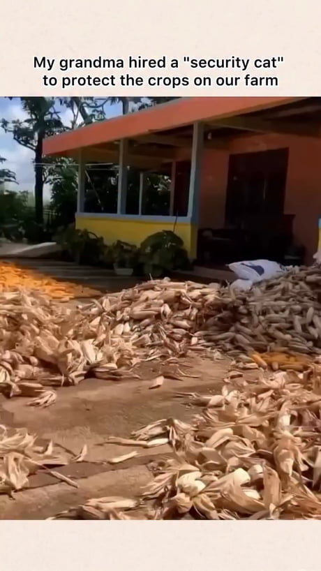 Prepare yourself. WW3 It's Comming...