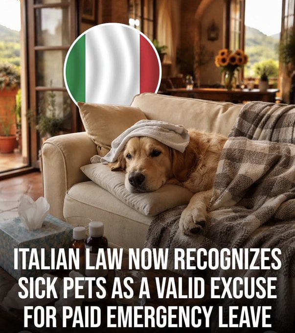 Well done Italy. Italy becomes the first country to grant paid leave for workers to stay home and care for their sick or injured pet.