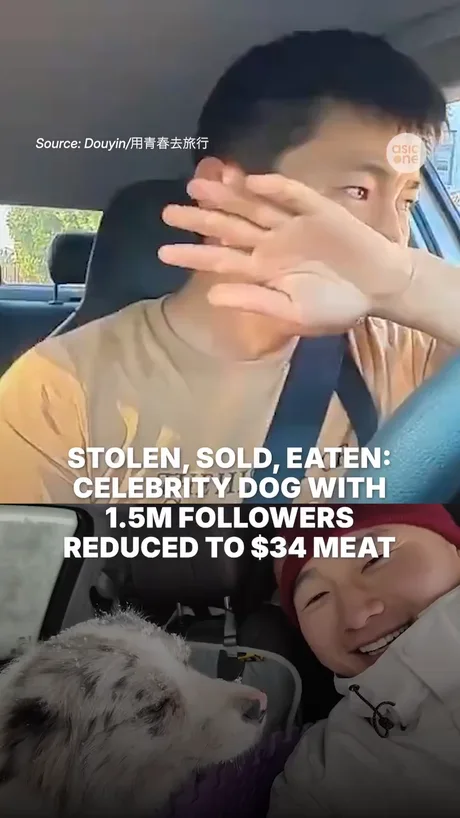 9GAG - Best Funny Memes and Breaking News