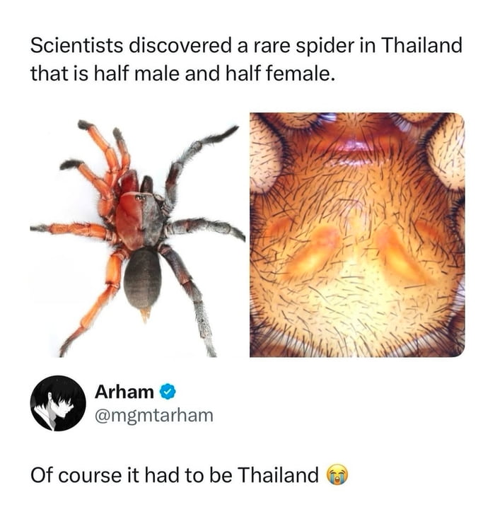 Of course !!!!