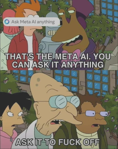 Futurama Mem 