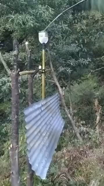 I hate my neighbors!