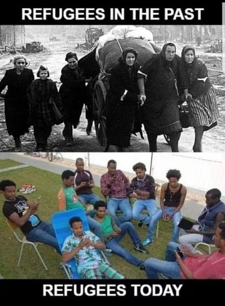 amozBBy_460s.jpg