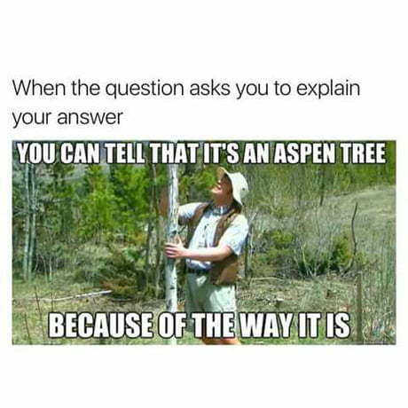 You Can Clearly Tell Its An Aspen Tree 9gag